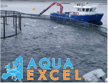 aquaexcel.png