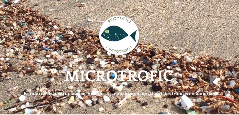 microplásticos en arena
