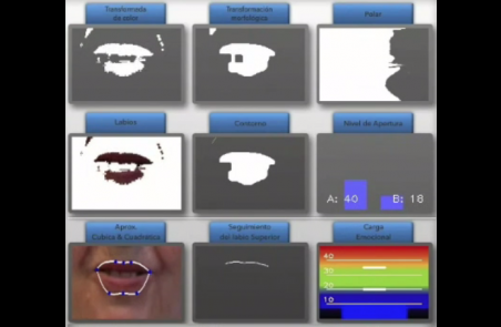 cuadro de datos de analisis de labios en el ordenador